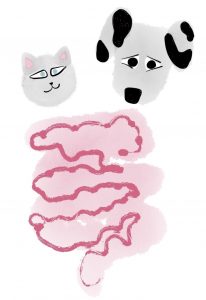 Pet Gut Health