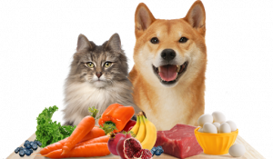Humanfood for cats and dogs